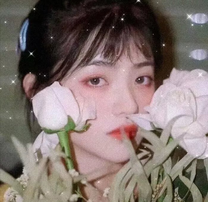 格洛丽亚在路上 在线观看